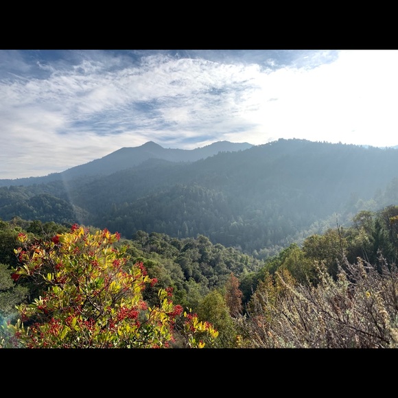 Meet your Posher, Mike - Picture 1 of 1